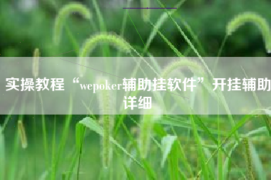 实操教程“wepoker辅助挂软件”开挂辅助详细