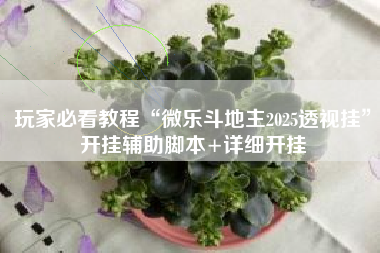 玩家必看教程“微乐斗地主2025透视挂”开挂辅助脚本+详细开挂