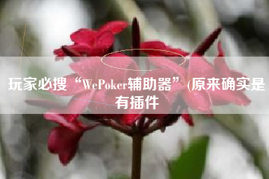 玩家必搜“WePoker辅助器”(原来确实是有插件
