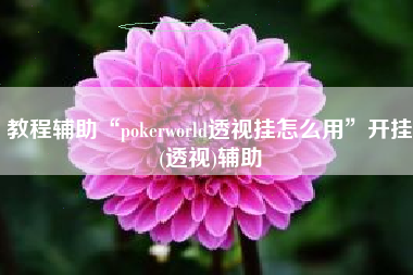 教程辅助“pokerworld透视挂怎么用”开挂(透视)辅助