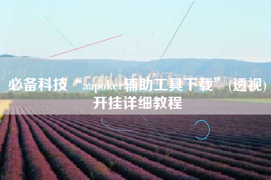 必备科技“aapoker辅助工具下载”(透视)开挂详细教程
