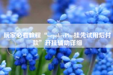 玩家必看教程“wepokerPlus挂先试用后付款	”开挂辅助详细