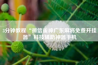 3分钟教程“微信雀神广东麻将免费开挂器	”科技辅助神器手机