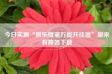 今日实测“微乐掼蛋万能开挂器	”原来有神器下载