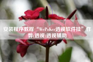 安装程序教程“WePoKer透视软件挂”作弊(透视)透视辅助