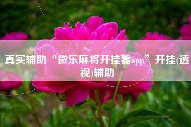 真实辅助“微乐麻将开挂器app”开挂(透视)辅助