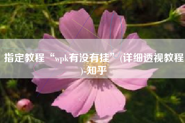 指定教程“wpk有没有挂	”(详细透视教程)-知乎