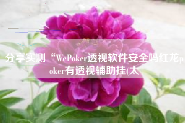 分享实测“WePoker透视软件安全吗红龙poker有透视辅助挂(太