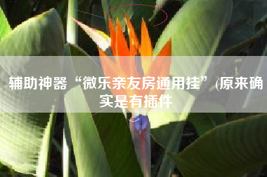 辅助神器“微乐亲友房通用挂	”(原来确实是有插件