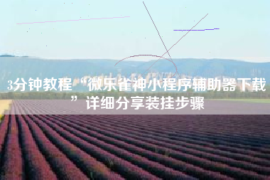 3分钟教程“微乐雀神小程序辅助器下载	”详细分享装挂步骤