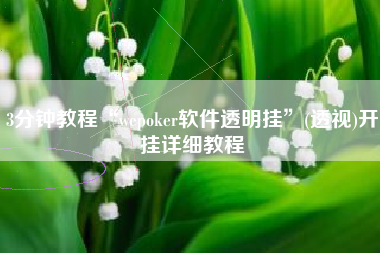 3分钟教程“wepoker软件透明挂”(透视)开挂详细教程