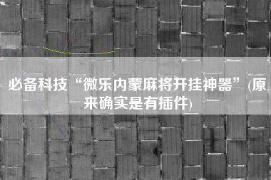 必备科技“微乐内蒙麻将开挂神器	”(原来确实是有插件)