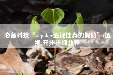 必备科技“wepoker透视挂真的假的”(透视)开挂详细教程
