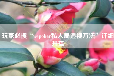 玩家必搜“wepoker私人局透视方法”详细开挂