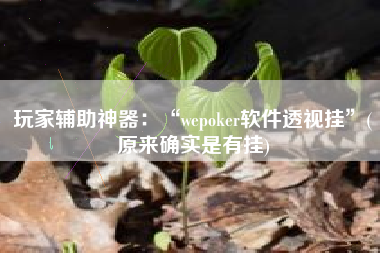 玩家辅助神器：“wepoker软件透视挂”(原来确实是有挂)
