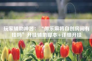 玩家辅助神器：“微乐麻将自创房间有挂吗	”开挂辅助脚本+详细开挂