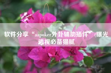 软件分享“aapoker外卦辅助插件	”(曝光透视必备猫腻