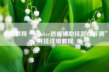 必看教程“wepoker透视辅助挂游戏评测”开挂详细教程