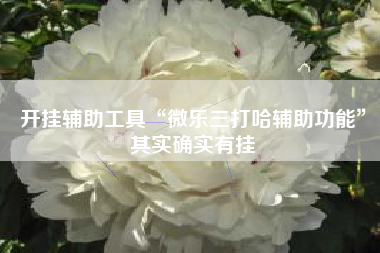 开挂辅助工具“微乐三打哈辅助功能”其实确实有挂