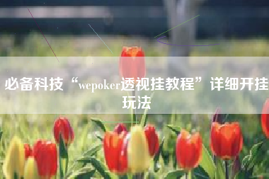 必备科技“wepoker透视挂教程”详细开挂玩法