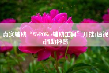真实辅助“WePOKer辅助工具”开挂(透视)辅助神器