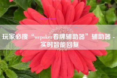 玩家必搜“wepoker看牌辅助器”辅助器 - 实时智能回复