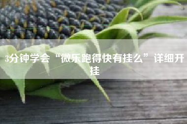 3分钟学会“微乐跑得快有挂么	”详细开挂