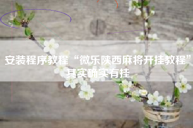 安装程序教程“微乐陕西麻将开挂教程”其实确实有挂