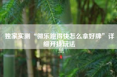 独家实测“微乐跑得快怎么拿好牌	”详细开挂玩法