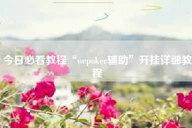 今日必看教程“wepoker辅助”开挂详细教程