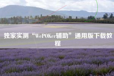 独家实测“WePOKer辅助”通用版下载教程