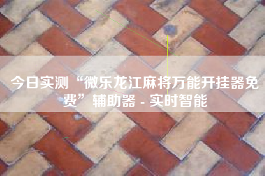 今日实测“微乐龙江麻将万能开挂器免费	”辅助器 - 实时智能