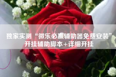 独家实测“微乐必赢辅助器免费安装	”开挂辅助脚本+详细开挂