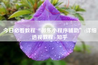 今日必看教程“微乐小程序辅助”(详细透视教程)-知乎