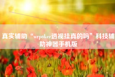 真实辅助“wrpoker透视挂真的吗”科技辅助神器手机版