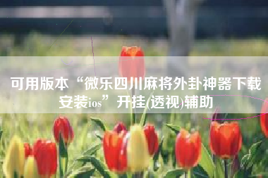 可用版本“微乐四川麻将外卦神器下载安装ios”开挂(透视)辅助