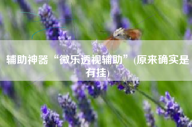 辅助神器“微乐透视辅助”(原来确实是有挂)