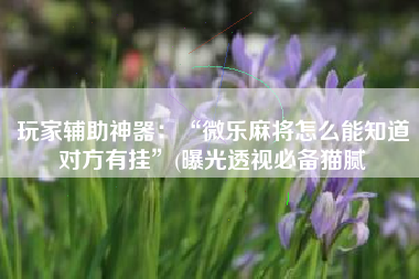 玩家辅助神器：“微乐麻将怎么能知道对方有挂	”(曝光透视必备猫腻