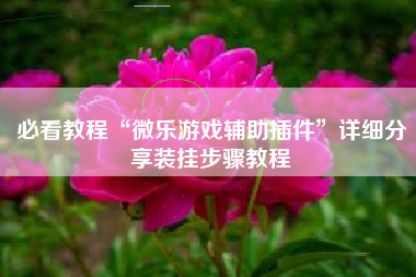必看教程“微乐游戏辅助插件”详细分享装挂步骤教程