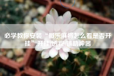 必学教你安装“微乐麻将怎么看是否开挂”开挂(透视)辅助神器