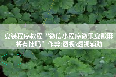 安装程序教程“微信小程序微乐安徽麻将有挂吗”作弊(透视)透视辅助