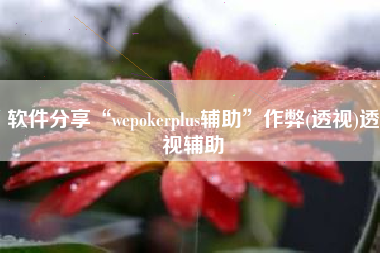 软件分享“wepokerplus辅助	”作弊(透视)透视辅助
