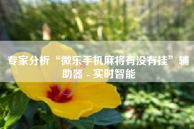 专家分析“微乐手机麻将有没有挂”辅助器 - 实时智能