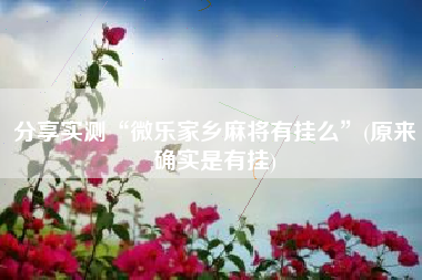 分享实测“微乐家乡麻将有挂么”(原来确实是有挂)