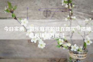 今日实测“微乐麻将的挂在哪买”揭秘透视辅助万能挂