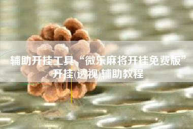 辅助开挂工具“微乐麻将开挂免费版”开挂(透视)辅助教程