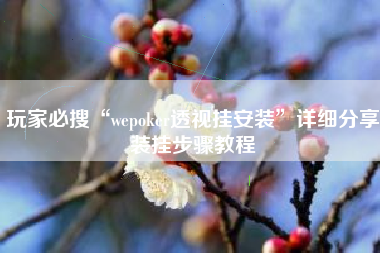 玩家必搜“wepoker透视挂安装	”详细分享装挂步骤教程