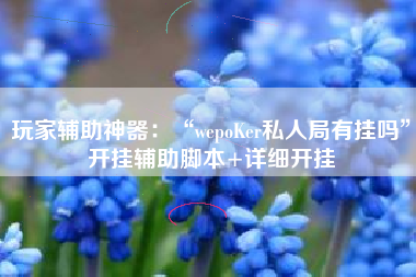 玩家辅助神器：“wepoKer私人局有挂吗”开挂辅助脚本+详细开挂