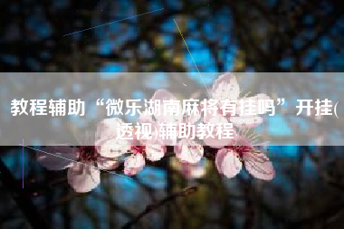 教程辅助“微乐湖南麻将有挂吗	”开挂(透视)辅助教程