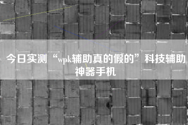 今日实测“wpk辅助真的假的”科技辅助神器手机